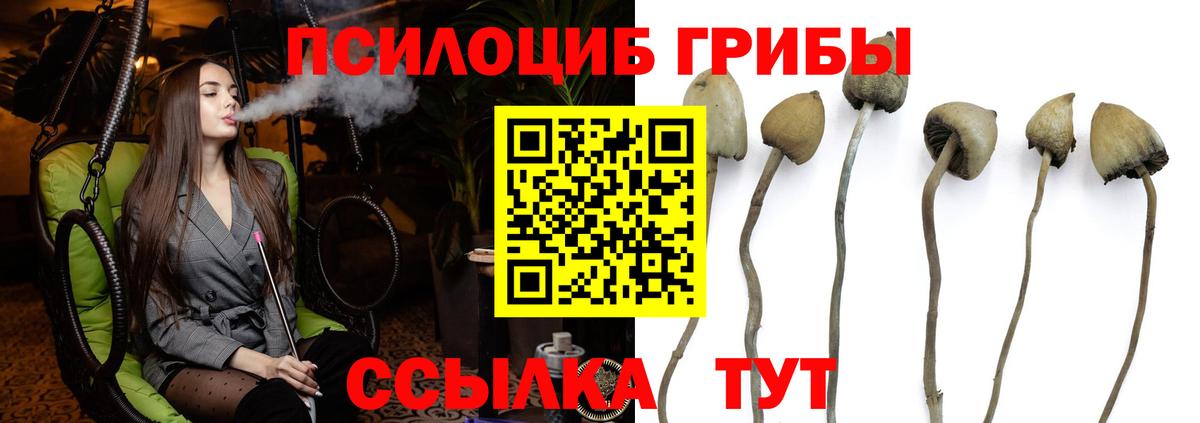 Шарыпово  Галлюциногенные грибы ЛСД  Вход с VPN  купить   Галлюциногенные грибы прущие грибы 